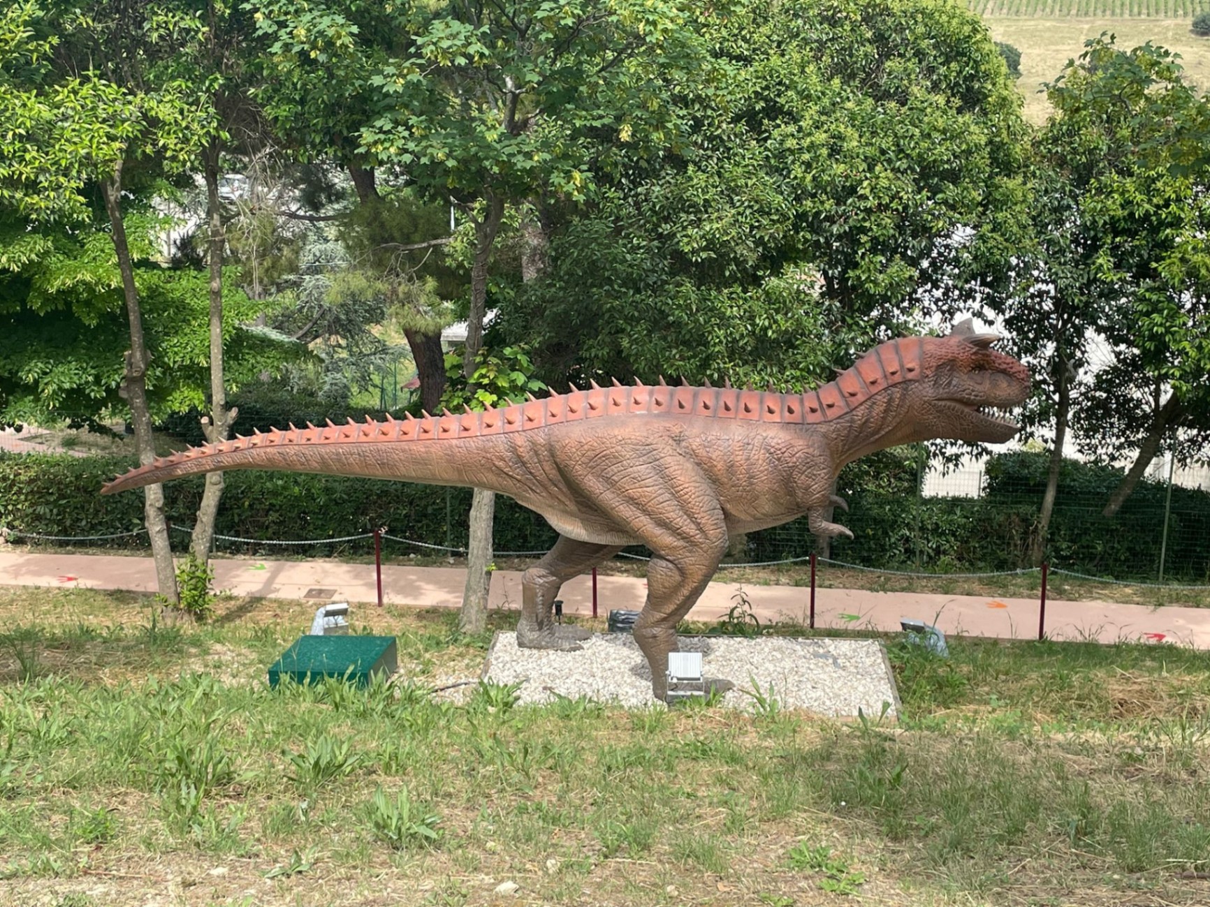 Carnotaurus a grandezza naturale al parco dei dinosauri AbruzzoSauro di Notaresco (Teramo)