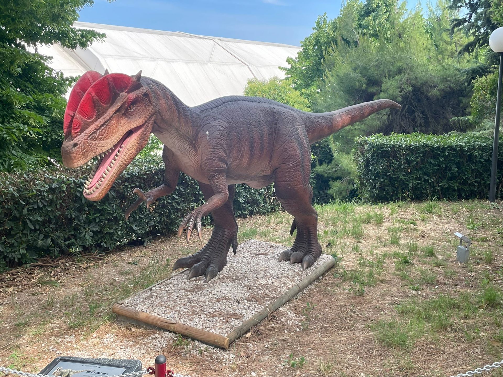Dilophosaurus (modello) a grandezza naturale al parco dei dinosauri AbruzzoSauro di Notaresco (Teramo)
