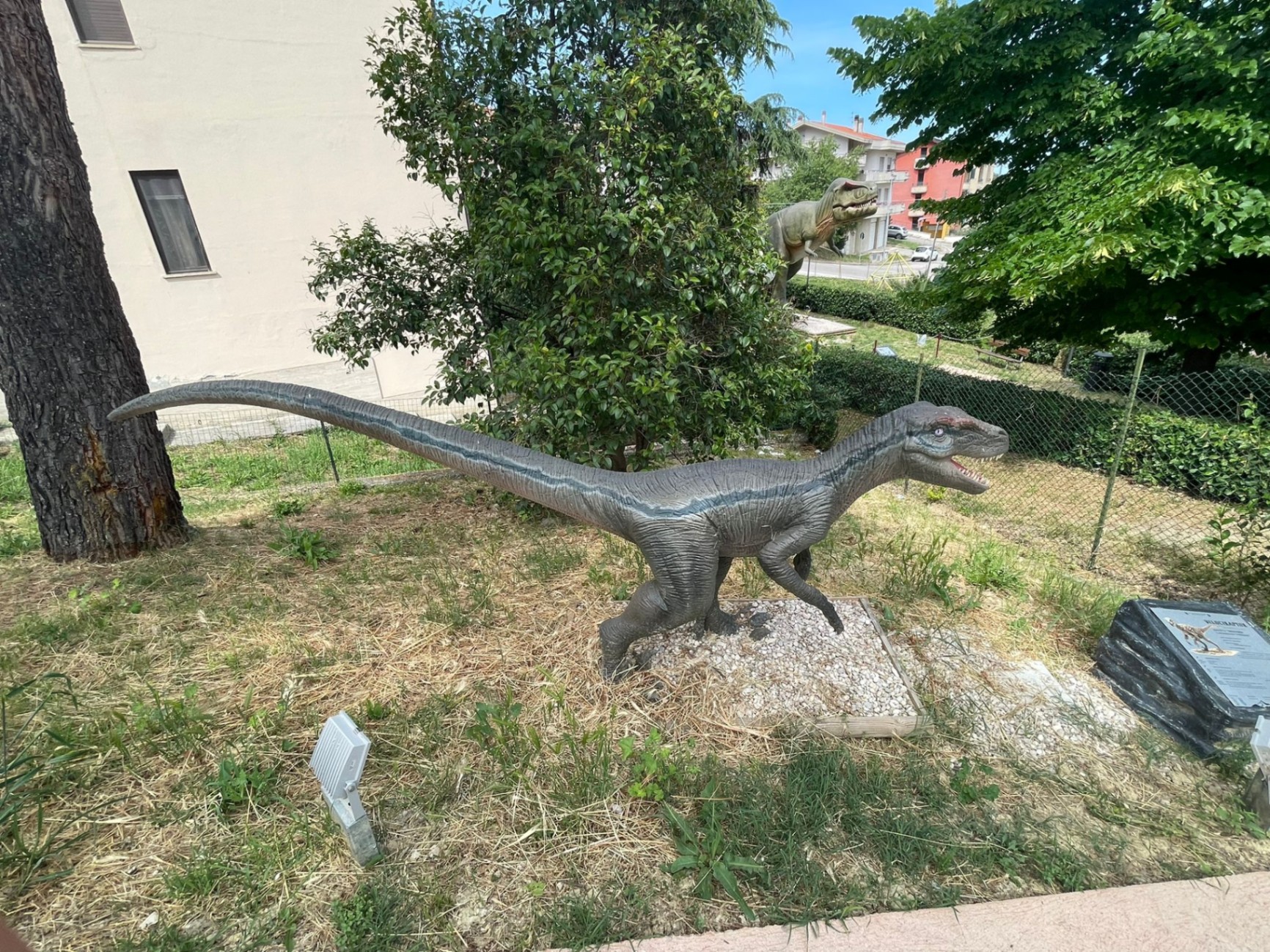 Velociraptor a grandezza naturale al parco dei dinosauri AbruzzoSauro di Notaresco (Teramo)