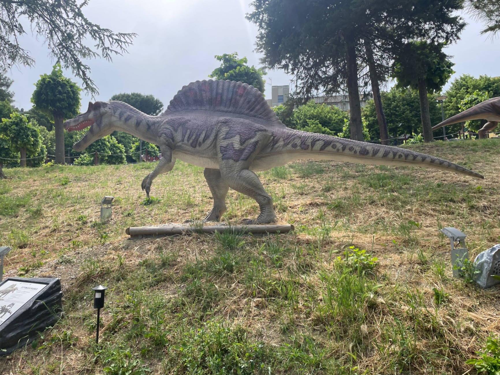 Spinosaurus a grandezza naturale al parco dei dinosauri AbruzzoSauro di Notaresco (Teramo)