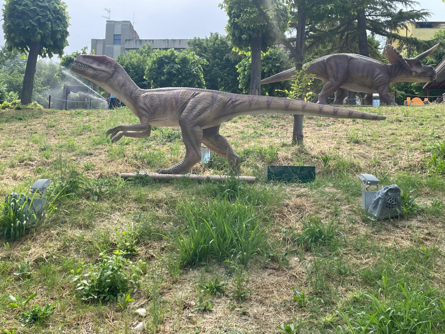 Velociraptor (modello) a grandezza naturale al parco dei dinosauri AbruzzoSauro di Notaresco (Teramo)
